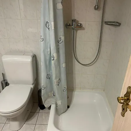 In With Balcony * ויסונה